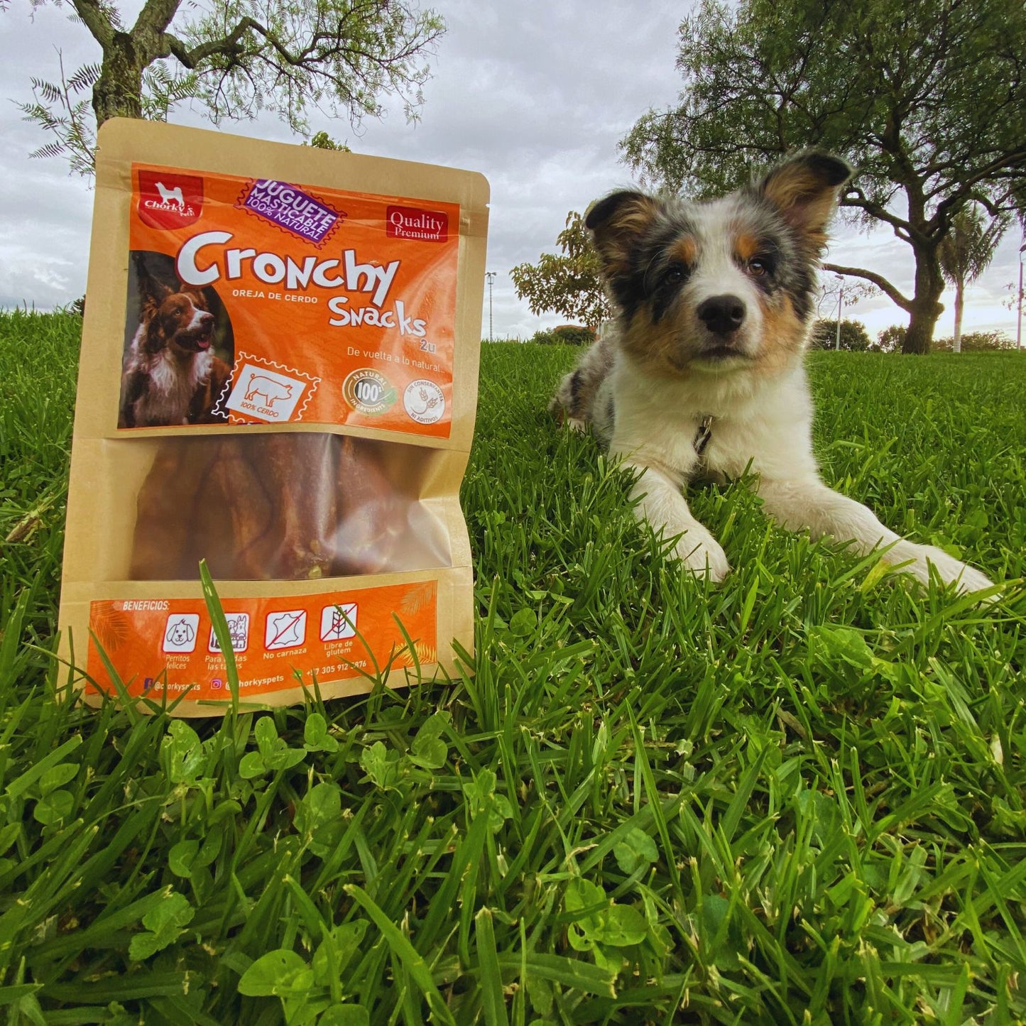 Cronchy snacks (OREJA DE CERDO X 2U)