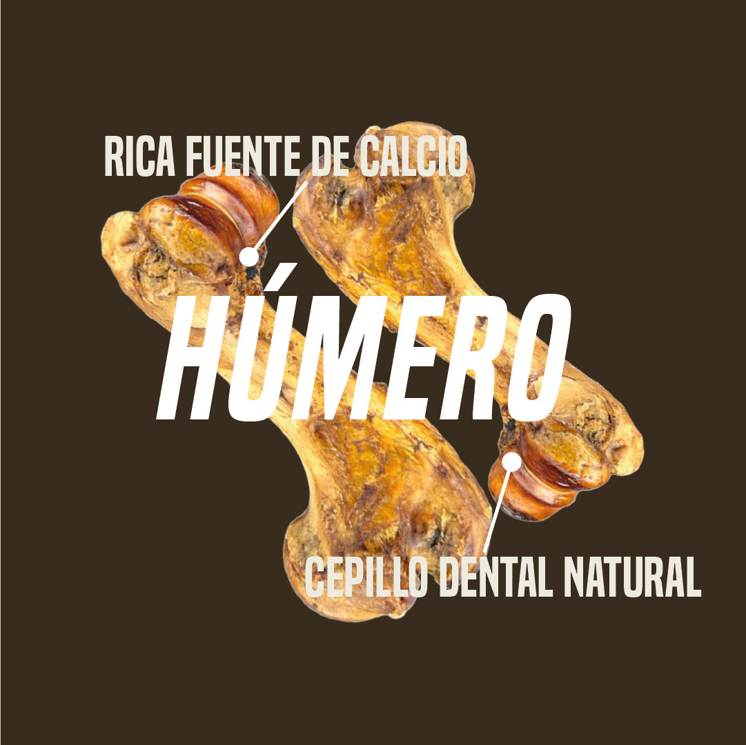 Hueso de cerdo Natural Deshidratado (Roasted Pork Húmero) x5u