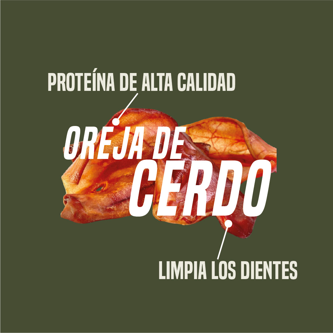 Oreja natural de cerdo x 20 Unidades