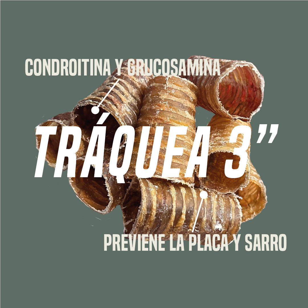 Recargable Windpi (Tráquea de res) x20 unidades