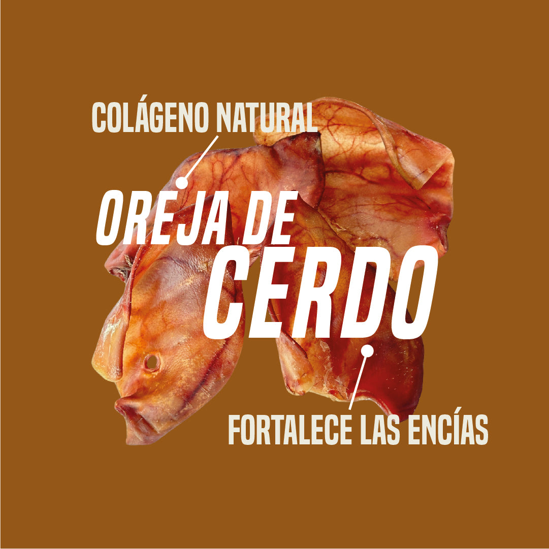 Oreja de cerdo natural caja x10u  (Cronchy Snacks)